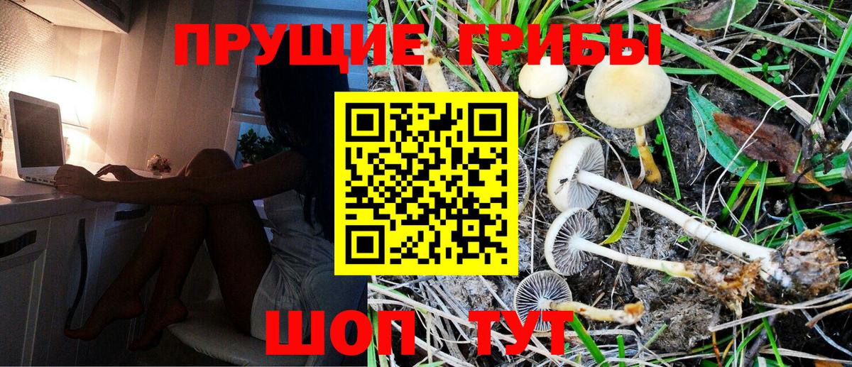 Псилоцибиновые грибы ЛСД  Галлюциногенные грибы Psilocybe  Павловский Посад  Вход с VPN 